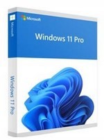 Microsoft Windows 11 Pro DE, ESD